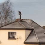 spazzacamino da lontano su un tetto ulisce un comignolo un'albero sullo sfondo