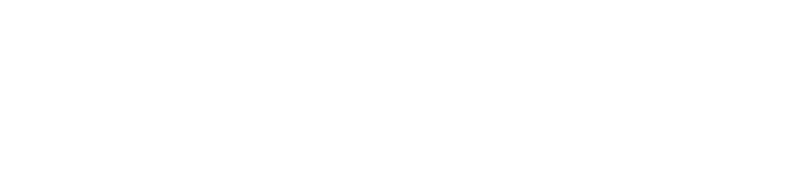 logo spazzacamino roma b